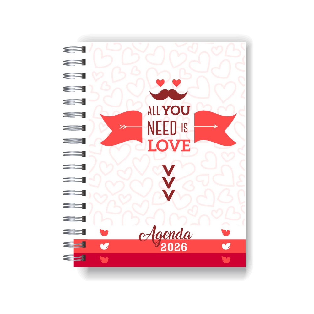 Agenda 2025 tapa dura mod. 5028 "All you need is Love" en caja para regalo