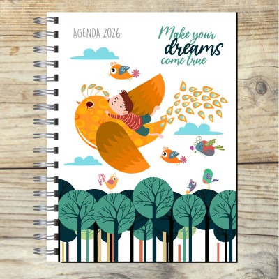 Agenda 2026 tapa dura mod. 5029 "Make your dreams" en caja para regalo