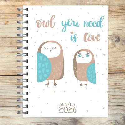 Agenda 2026 tapa dura mod. 5080 "Owl you need is love" en caja para regalo