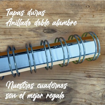 Agenda tapa dura mod. 6528 "Klimt Hygeia": anillado