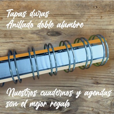 Agenda tapa dura mod. 6532 "Klimt Judith": anillado