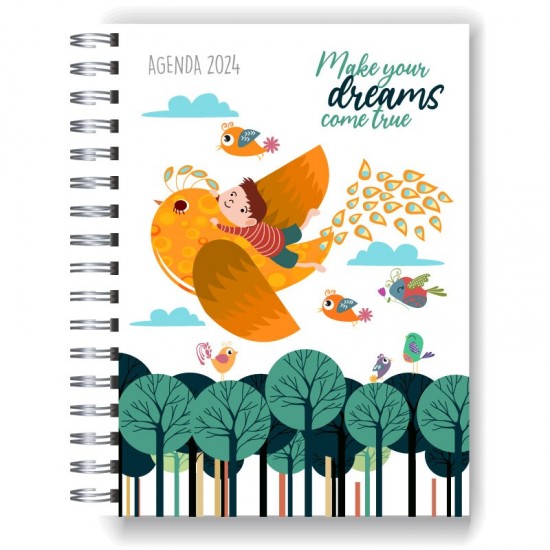 Agenda 2024 tapa dura mod. 5029 "Make your dreams" en caja para regalo