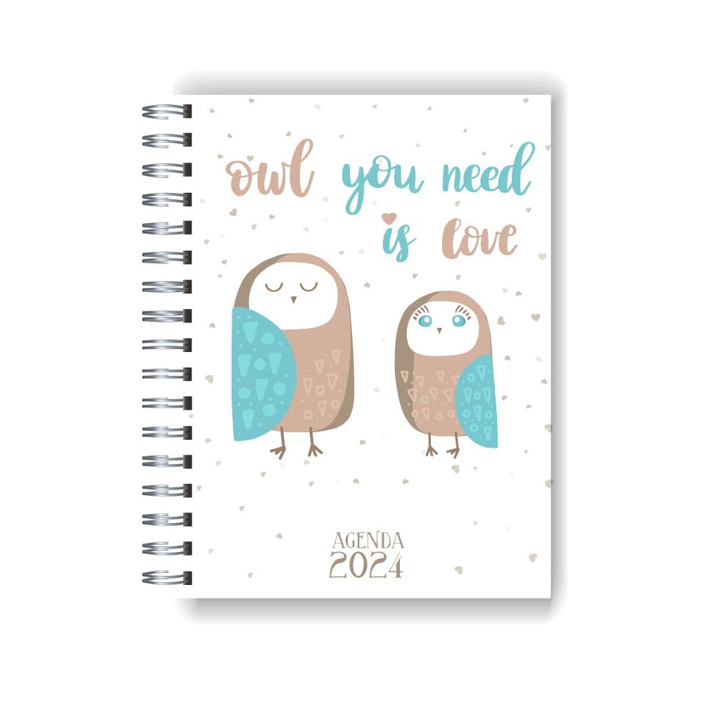 Agenda 2024 tapa dura mod. 5080 "Owl you need is love" en caja para regalo