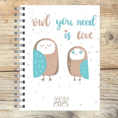 Agenda 2025 tapa dura mod. 5080 "Owl you need is love" en caja para regalo