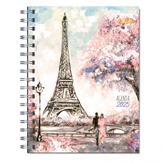 Agenda 2025  tapa dura mod. 5006 "Paris in love"